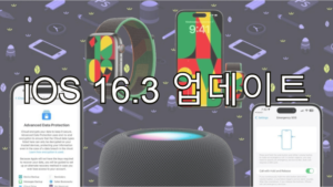 iOS 16.3 업데이트 변경 내용