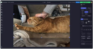 온라인 동영상 자르기 사이트 Kapwing