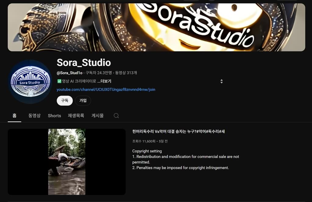 성공하는 쇼츠의 비밀-Sora_Studio