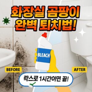 Perfectly remove mold from your bathroom